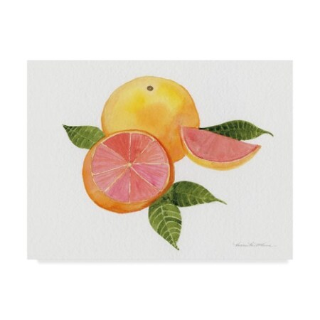 Trademark Fine Art Kathleen Parr Mckenna 'Citrus Garden X' Canvas Art, 35x47 WAP04542-C3547GG